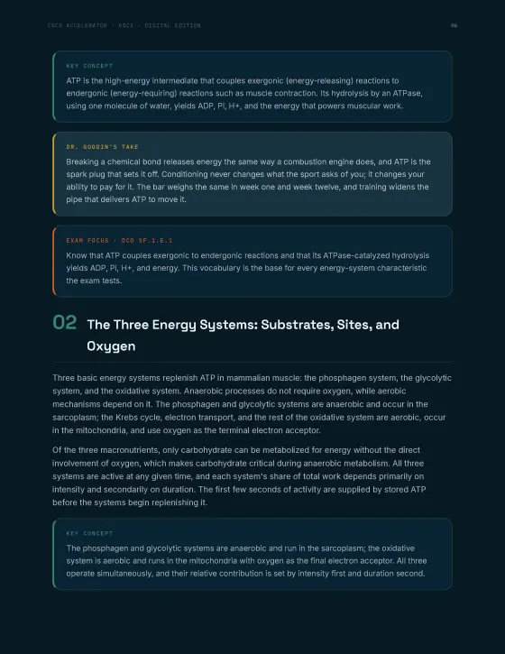 Sample study guide page 3, English edition