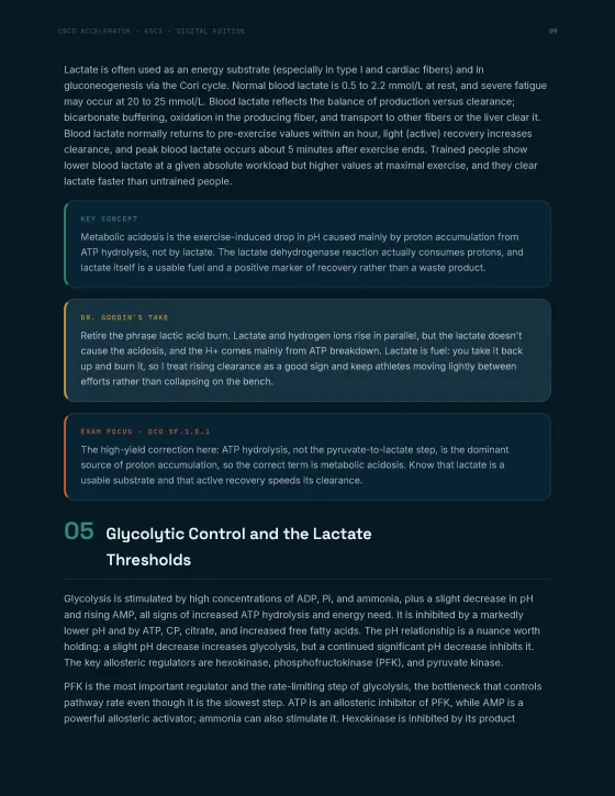 Sample study guide page 4, English edition